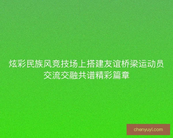 炫彩民族风竞技场上搭建友谊桥梁运动员交流交融共谱精彩篇章