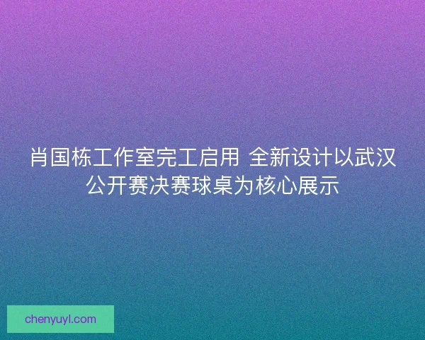 肖国栋工作室完工启用 全新设计以武汉公开赛决赛球桌为核心展示